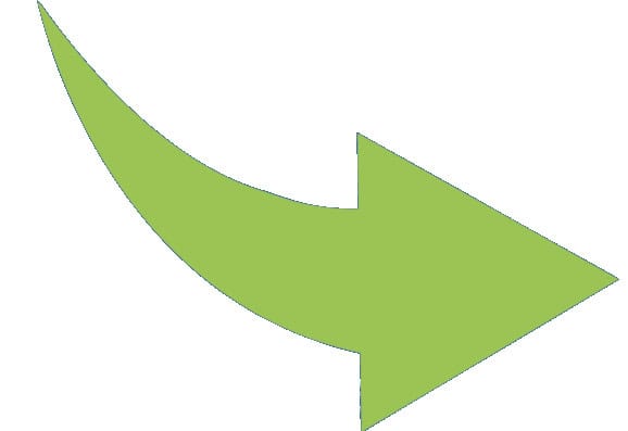 Studiekeuzebegeleiding